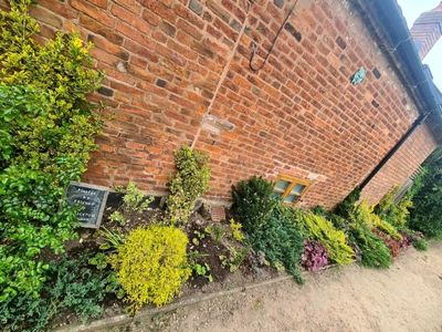 A photo of some flowers planted against the wall of a house