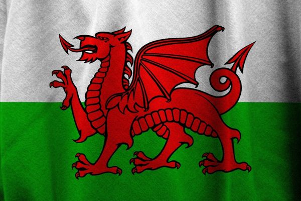 Close up of the Welsh flag with a red dragon on white and green background